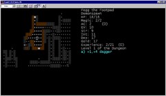 A typical dungeon level 1 layout.