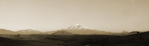 Shasta